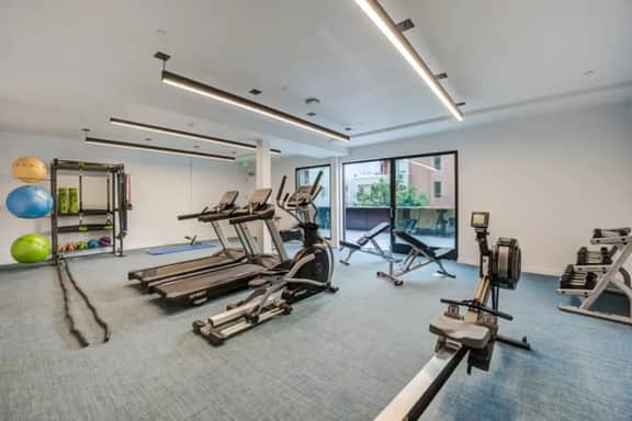 Chic Apartment | Walk to Little Tokyo | Gym+Views